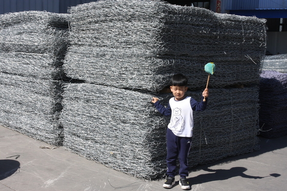 Personalización Galvanizado de aleación Gabion Cesta de alta resistencia a la corrosión