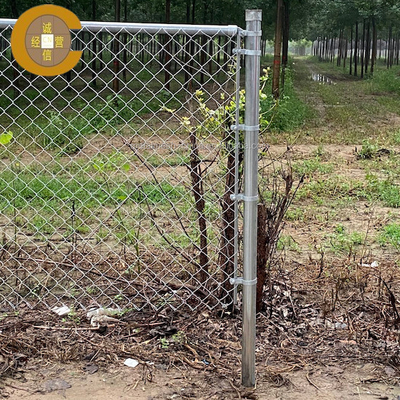 Rejillo de cercas de enlace de cadena de hierro galvanizado con recubrimiento de plástico