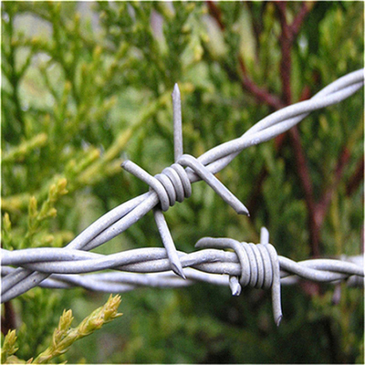 El cable de hierro galvanizado de bobina única