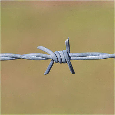 El cable de hierro galvanizado de bobina única