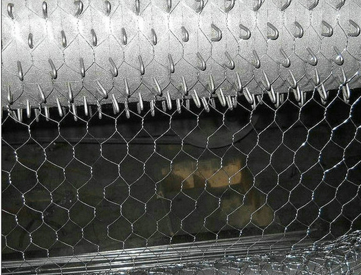 Redes hexagonales galvanizadas de alambre de aves de corral para gallinero