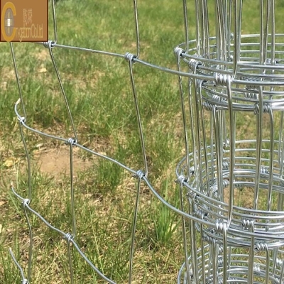Rejilla de alambre de acero hexagonal galvanizado para gallinas y gallinas