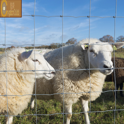 Rejilla de alambre de acero hexagonal galvanizado para gallinas y gallinas