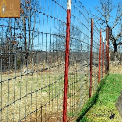 Rejilla de alambre de acero hexagonal galvanizado para gallinas y gallinas