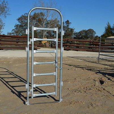 Cercas de malla de alambre galvanizado GI a prueba de óxido para aves de corral y cría agrícola