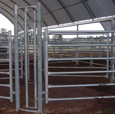 Cercas de malla de alambre galvanizado GI a prueba de óxido para aves de corral y cría agrícola