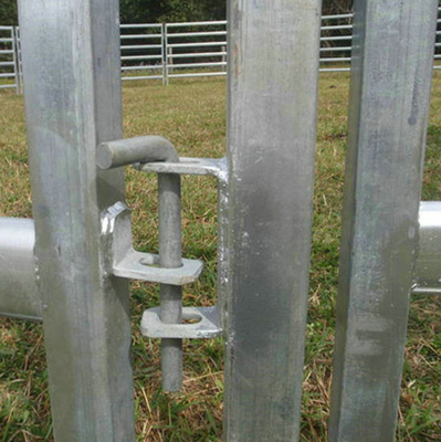 Cercas de malla de alambre galvanizado soldado Ganado Ganado Ovejas Cercas de cerdo en rollos 300x48