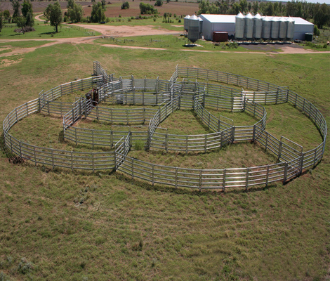 Rejas de acero galvanizado para cercas de campo de animales
